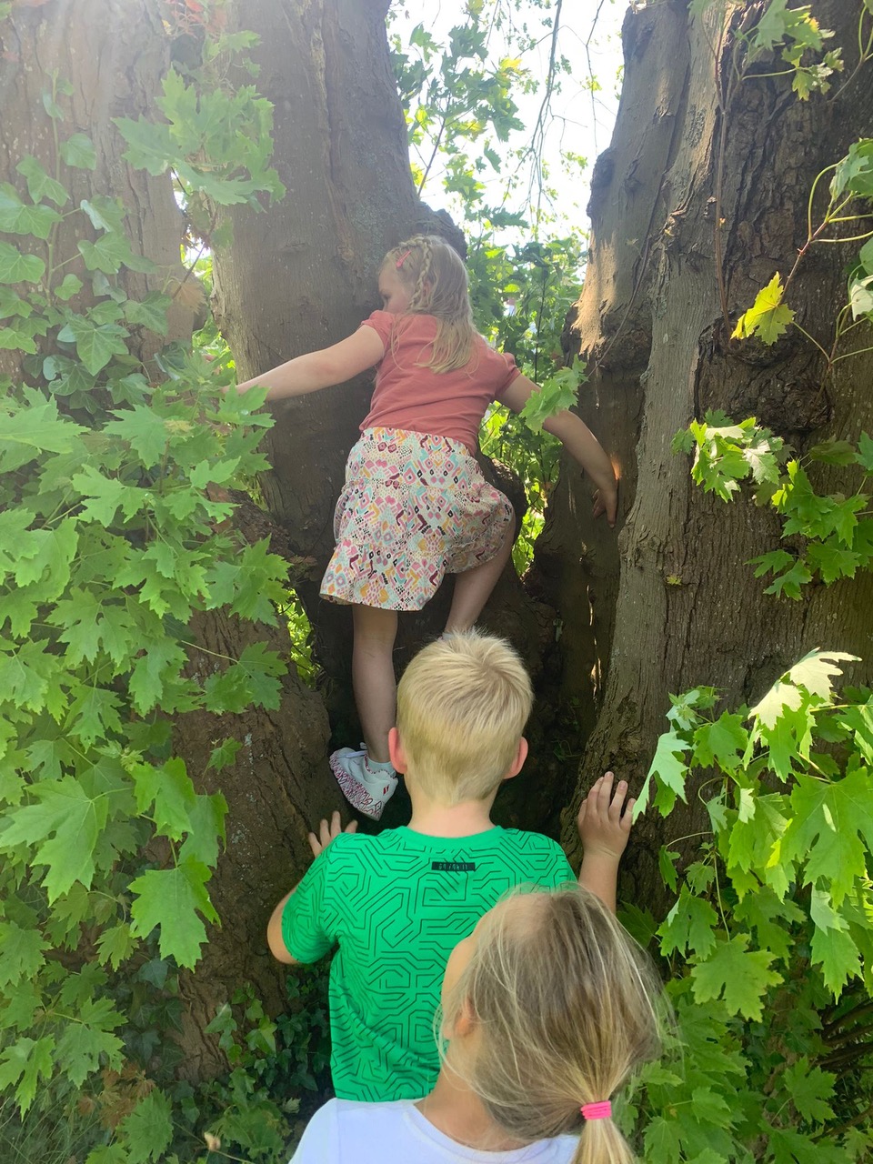 photo 2024 05 14 14 59 28